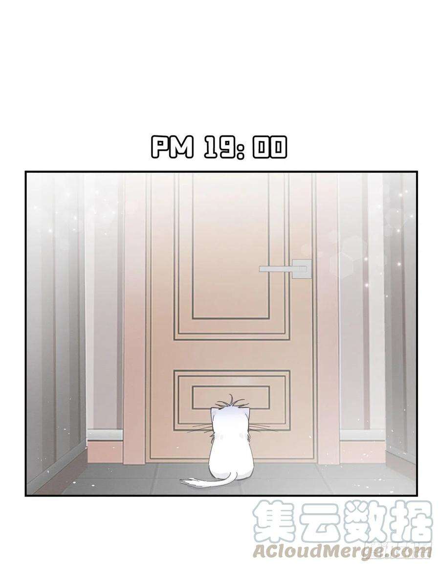 今天也要努力当只猫5话 是公的！