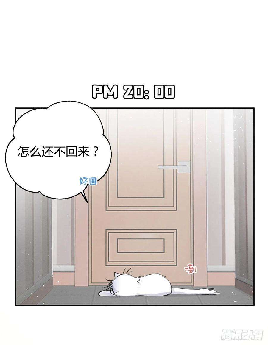 今天也要努力当只猫5话 是公的！