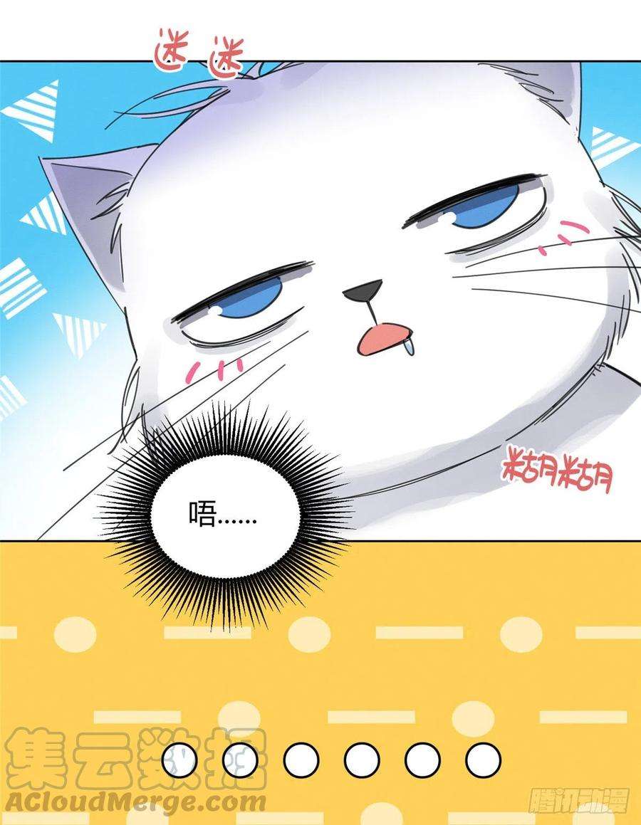 今天也要努力当只猫5话 是公的！