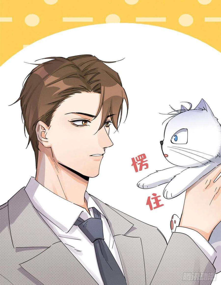 今天也要努力当只猫5话 是公的！