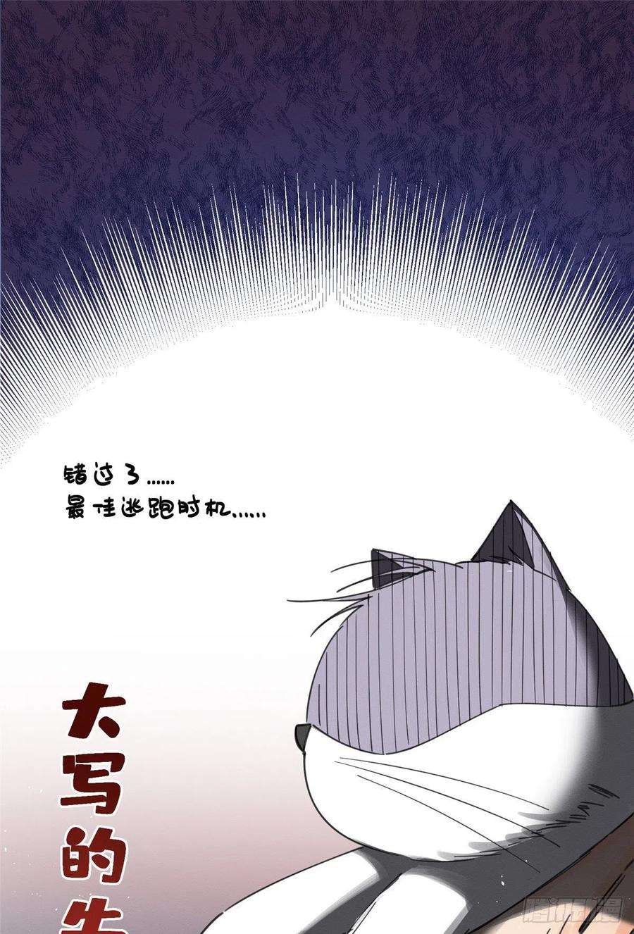 今天也要努力当只猫5话 是公的！