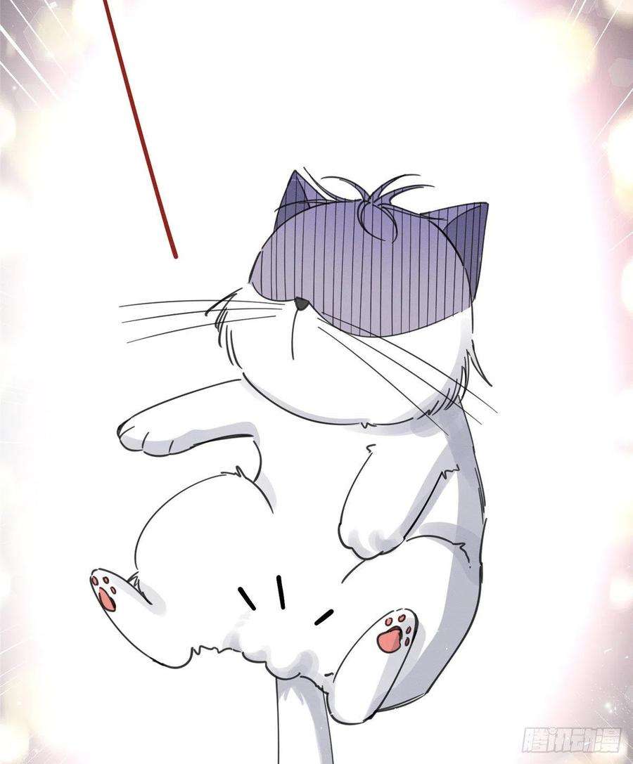 今天也要努力当只猫5话 是公的！