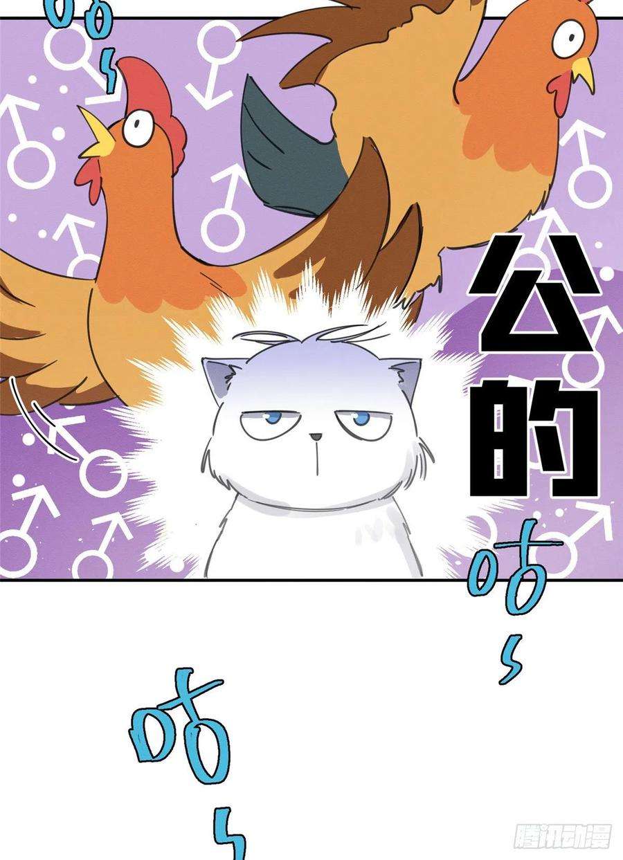 今天也要努力当只猫5话 是公的！