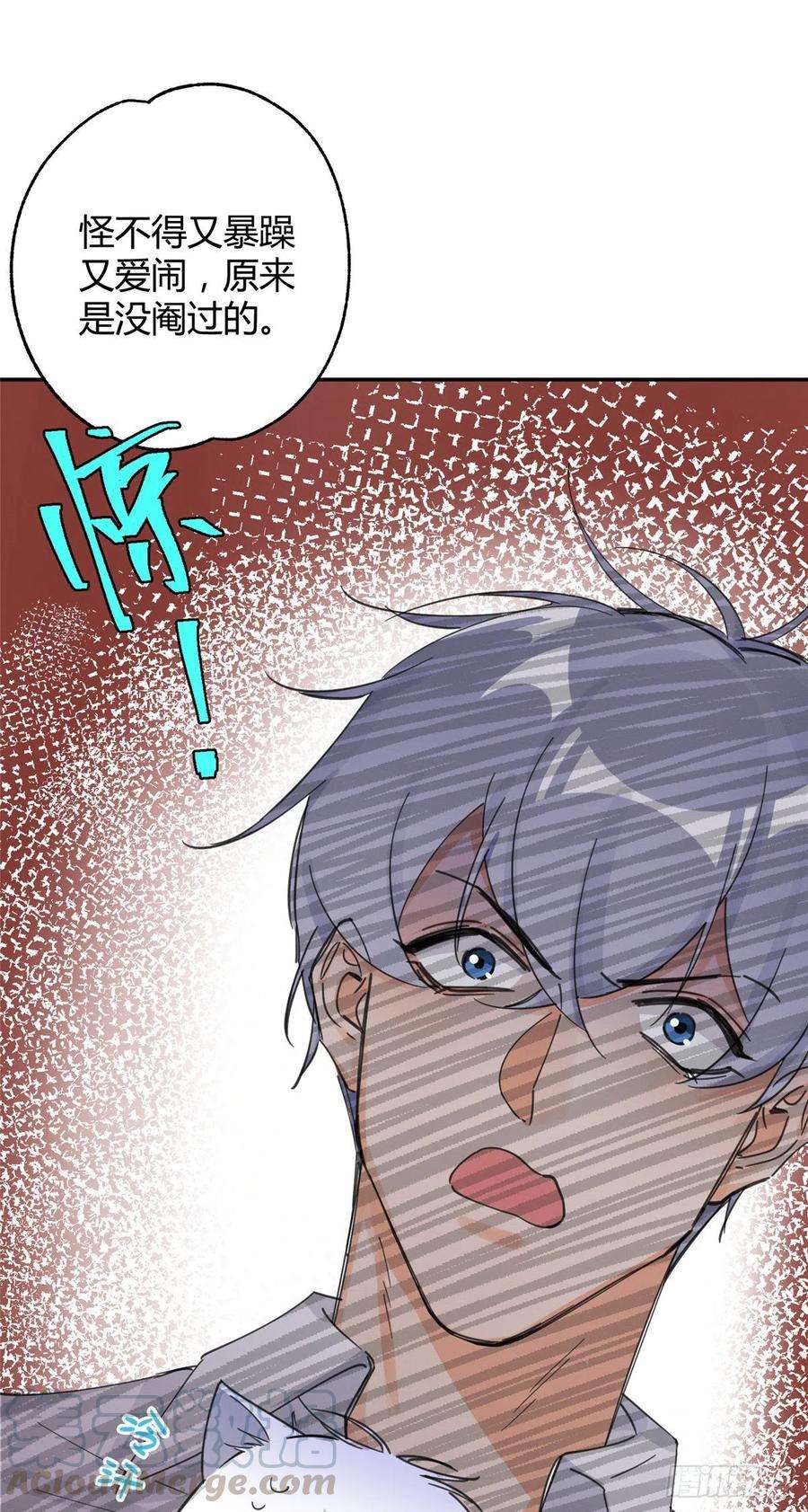 今天也要努力当只猫5话 是公的！