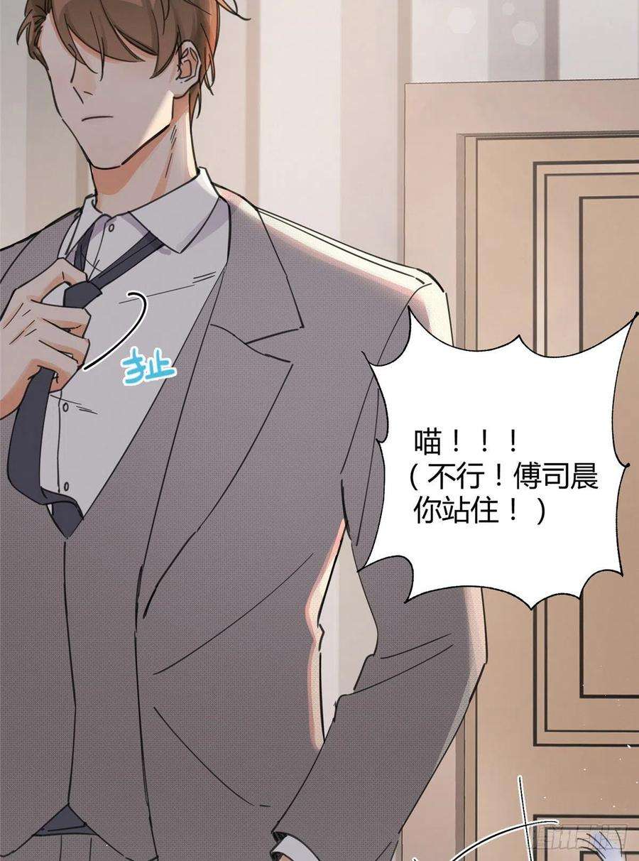 今天也要努力当只猫5话 是公的！