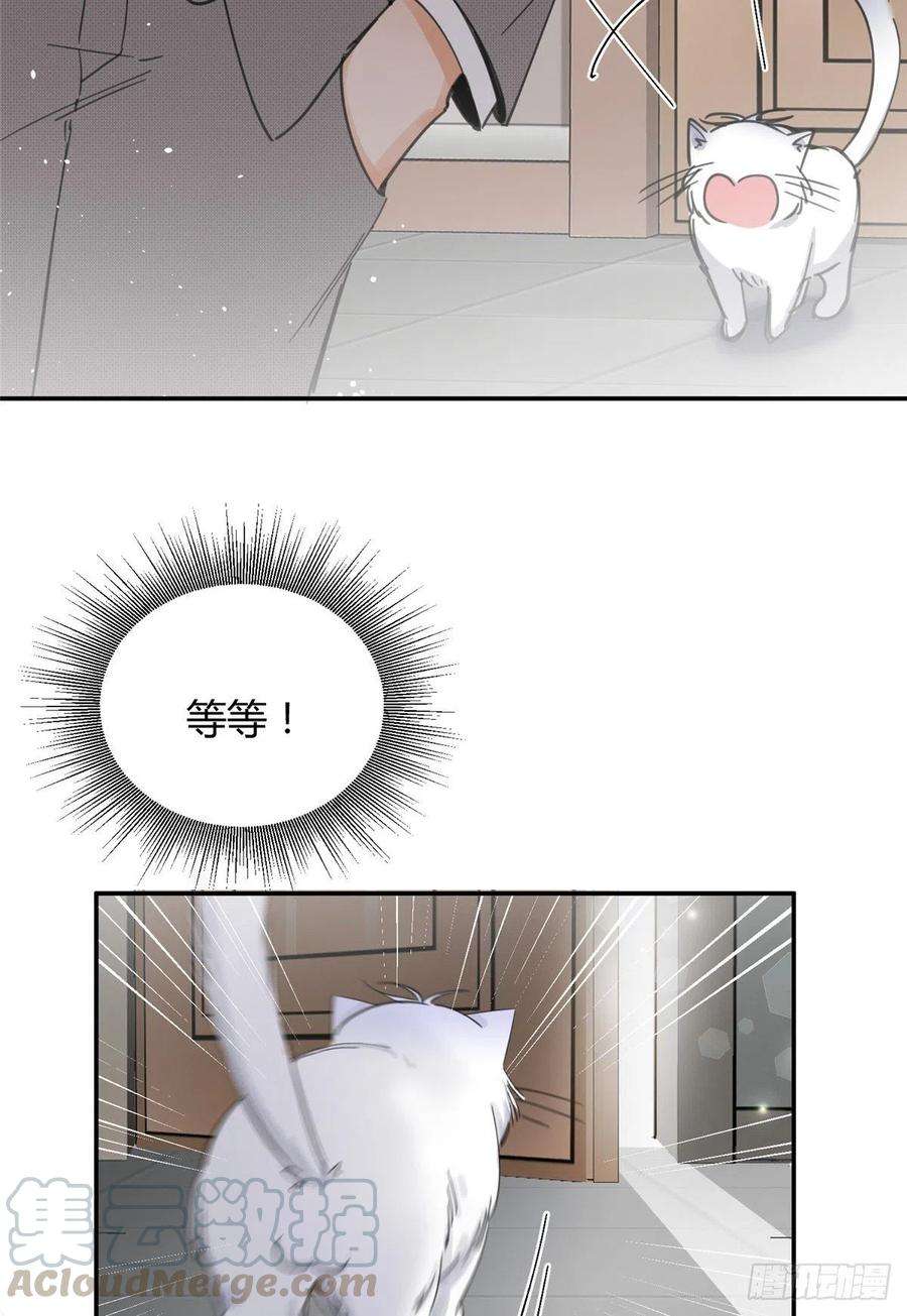 今天也要努力当只猫5话 是公的！