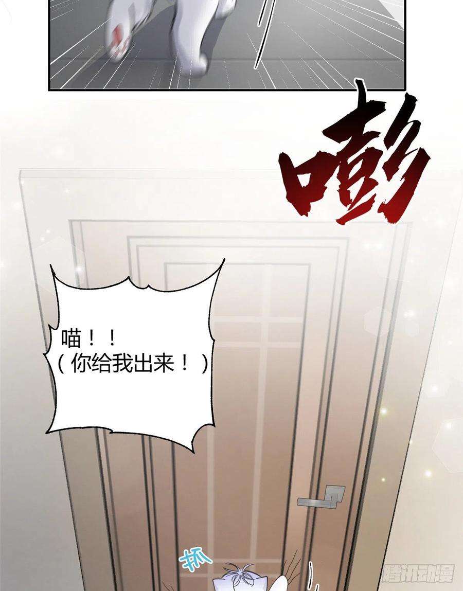 今天也要努力当只猫5话 是公的！