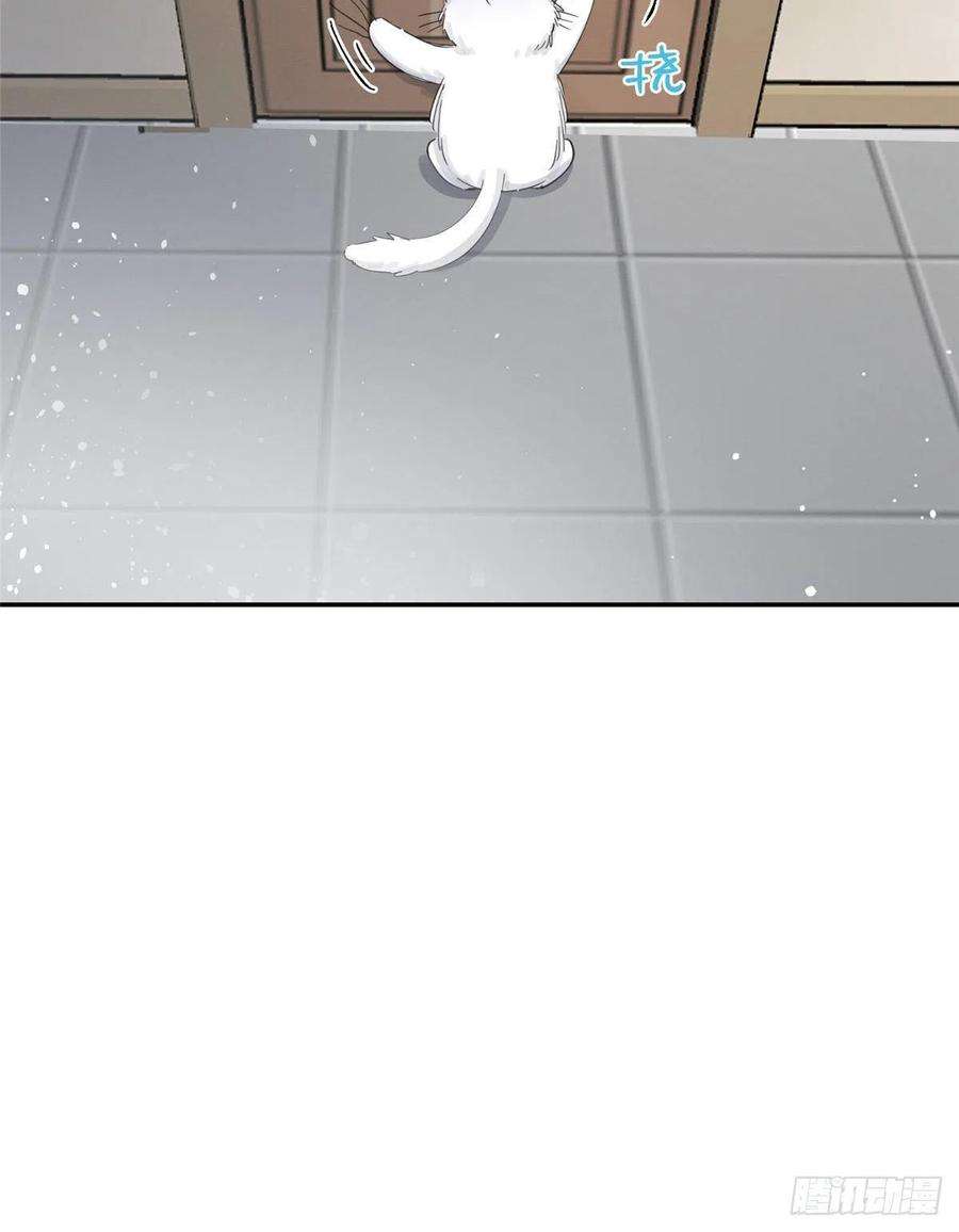 今天也要努力当只猫5话 是公的！