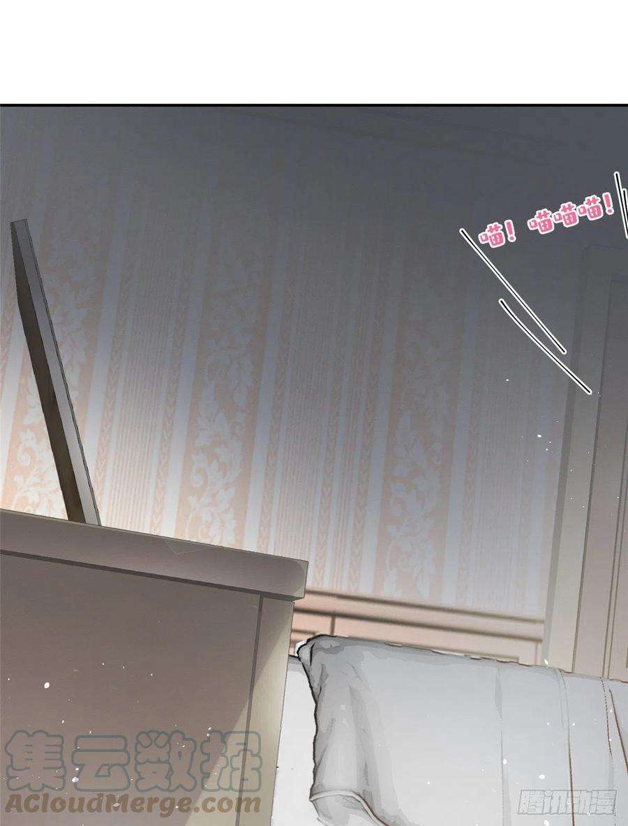 今天也要努力当只猫5话 是公的！