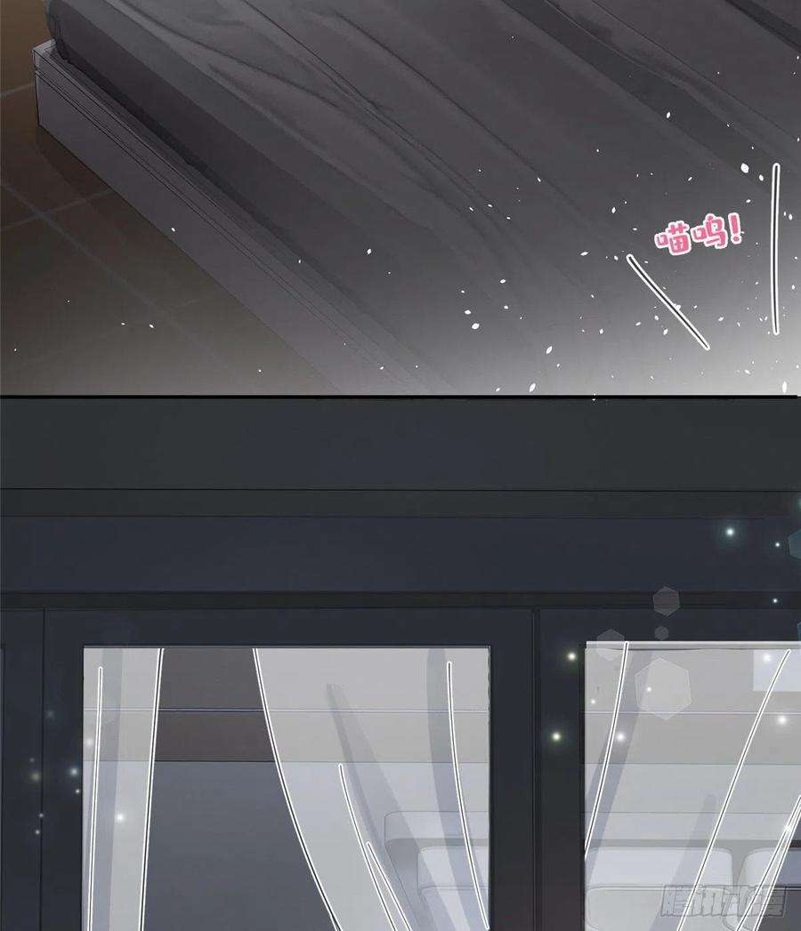 今天也要努力当只猫5话 是公的！