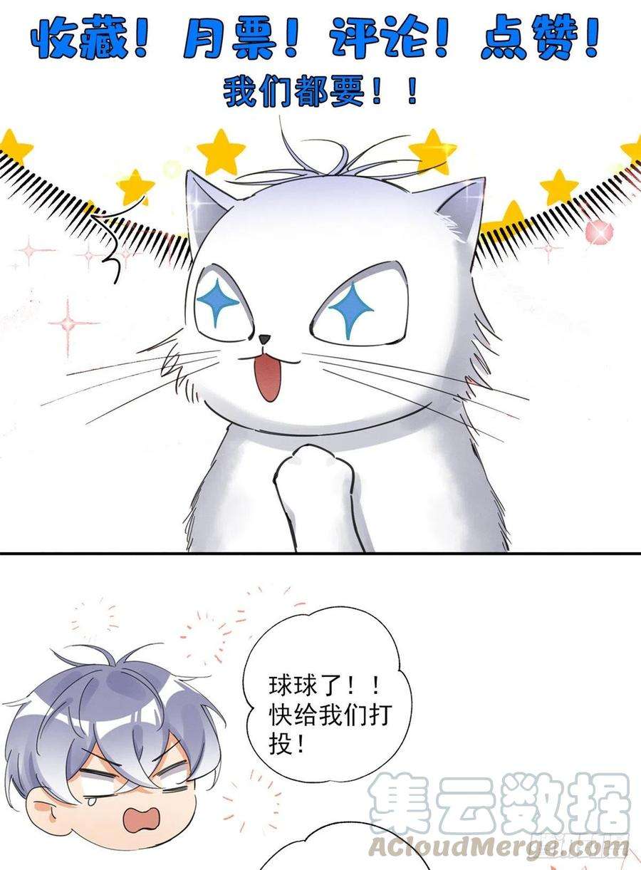 今天也要努力当只猫5话 是公的！