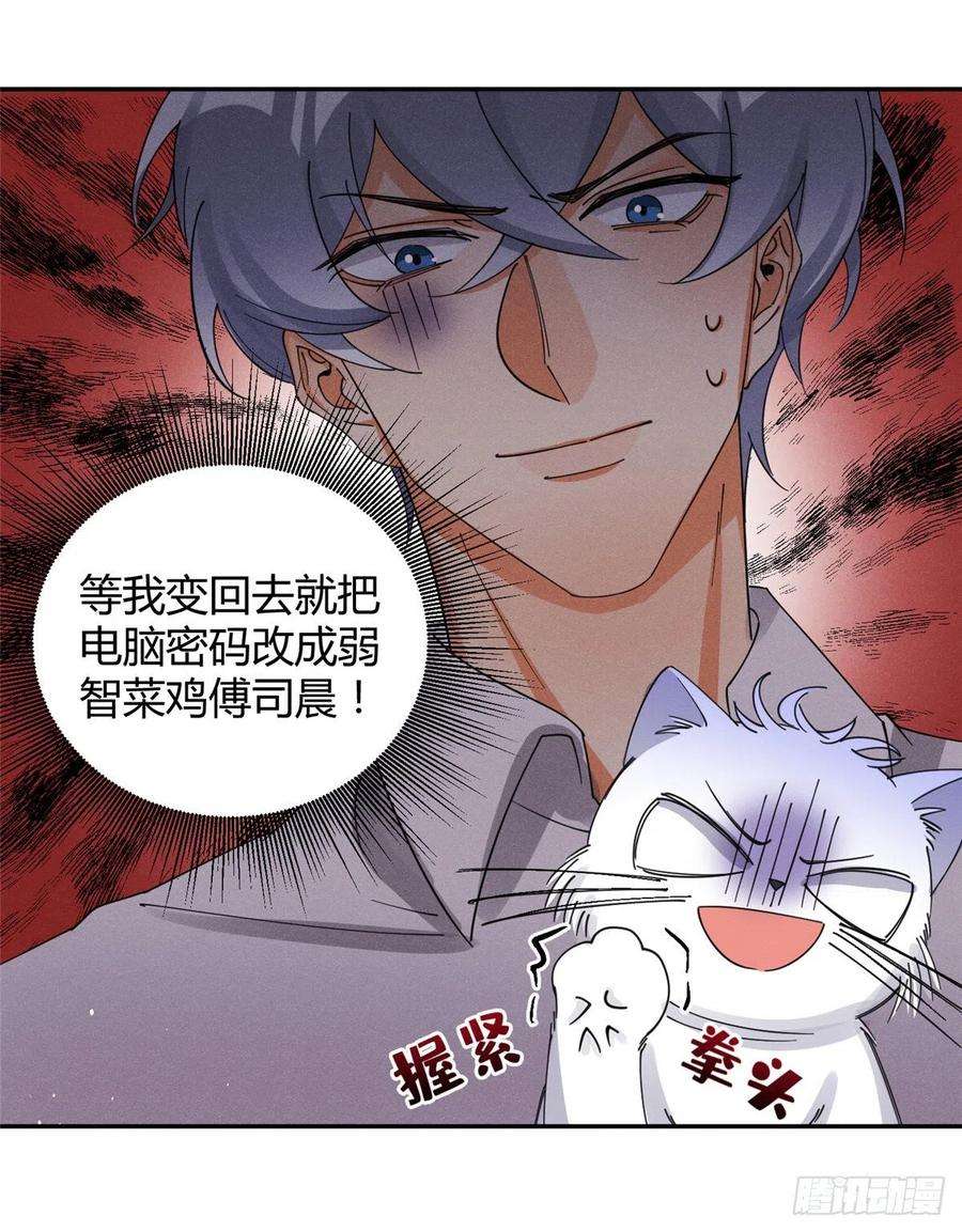 今天也要努力当只猫6话 笨蛋！