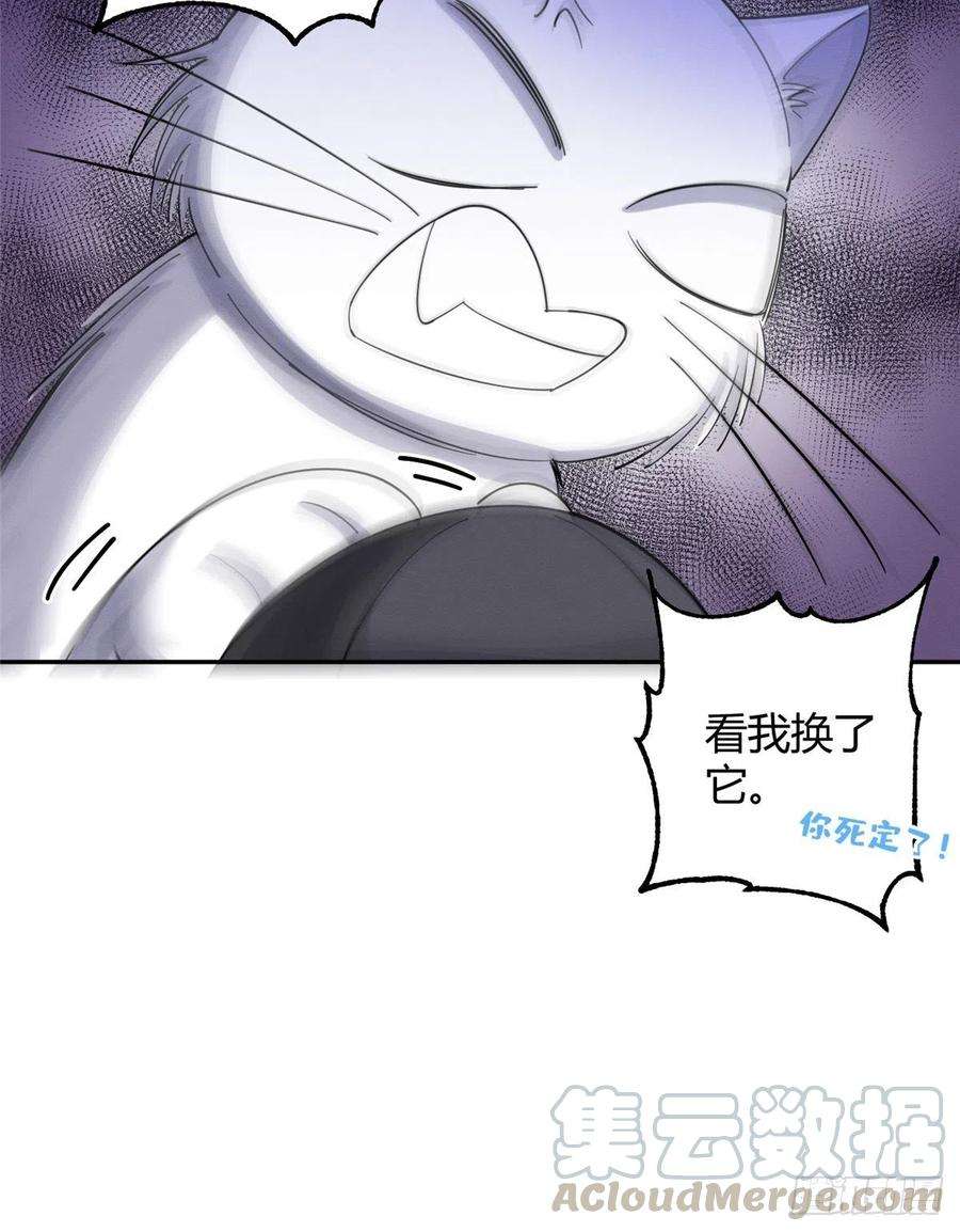 今天也要努力当只猫6话 笨蛋！