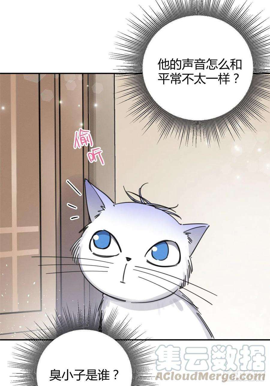 今天也要努力当只猫6话 笨蛋！