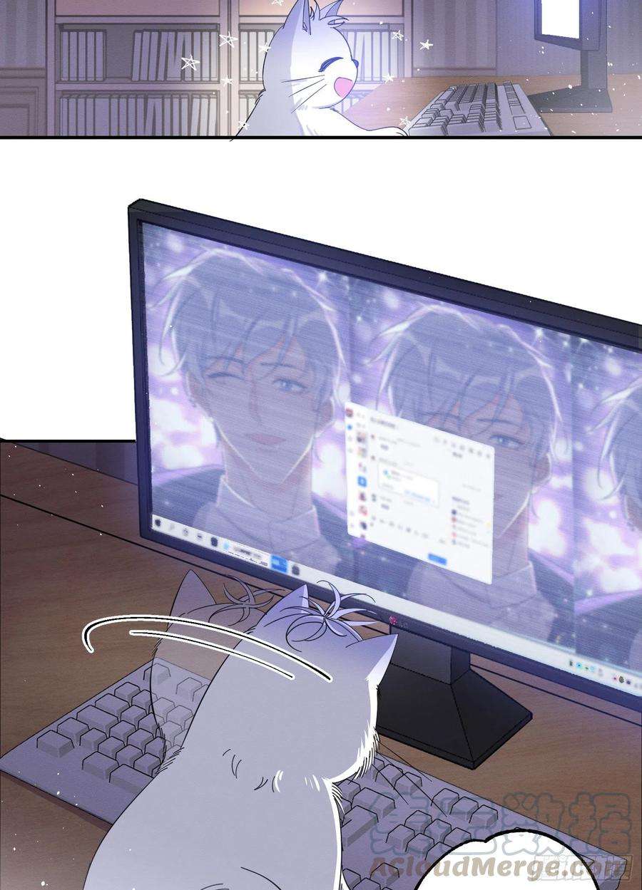 今天也要努力当只猫6话 笨蛋！