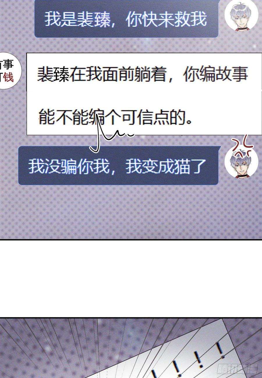 今天也要努力当只猫6话 笨蛋！