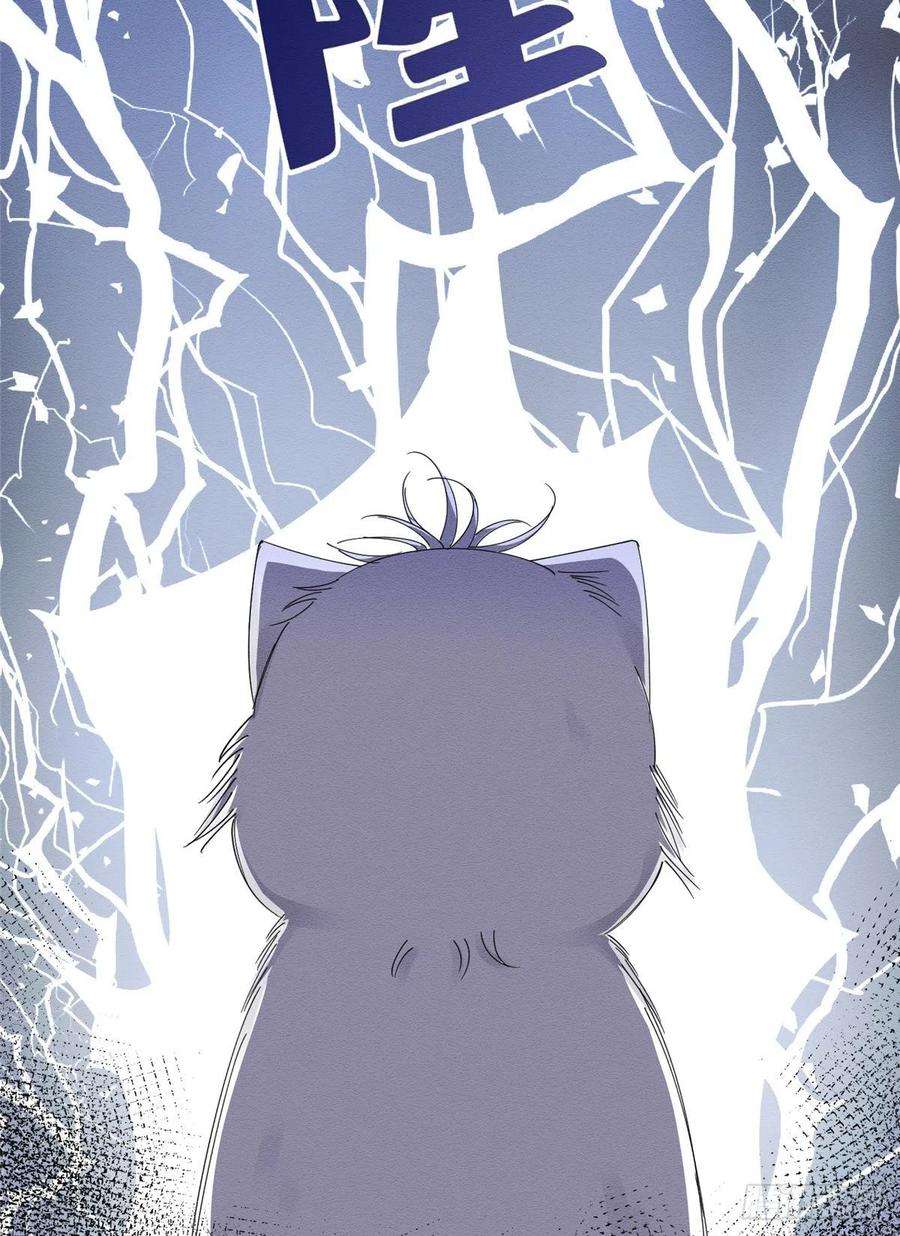 今天也要努力当只猫6话 笨蛋！