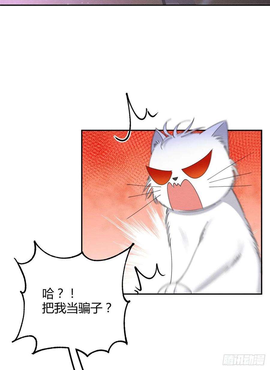 今天也要努力当只猫6话 笨蛋！