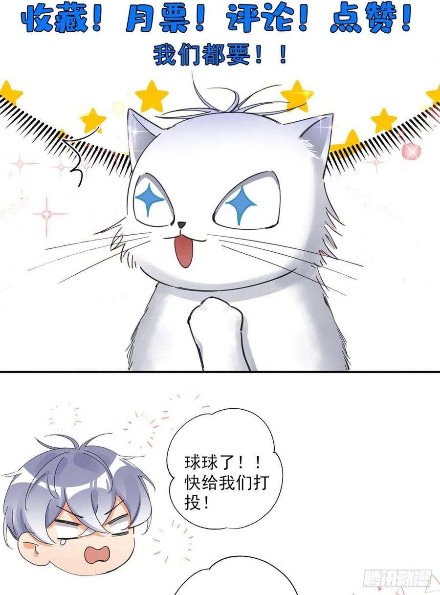 今天也要努力当只猫6话 笨蛋！