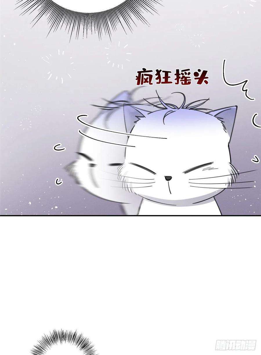 今天也要努力当只猫6话 笨蛋！