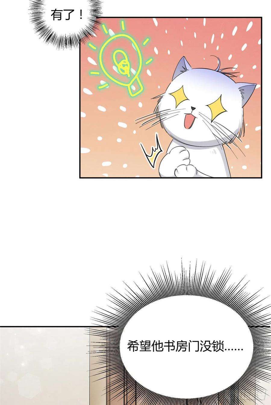 今天也要努力当只猫6话 笨蛋！