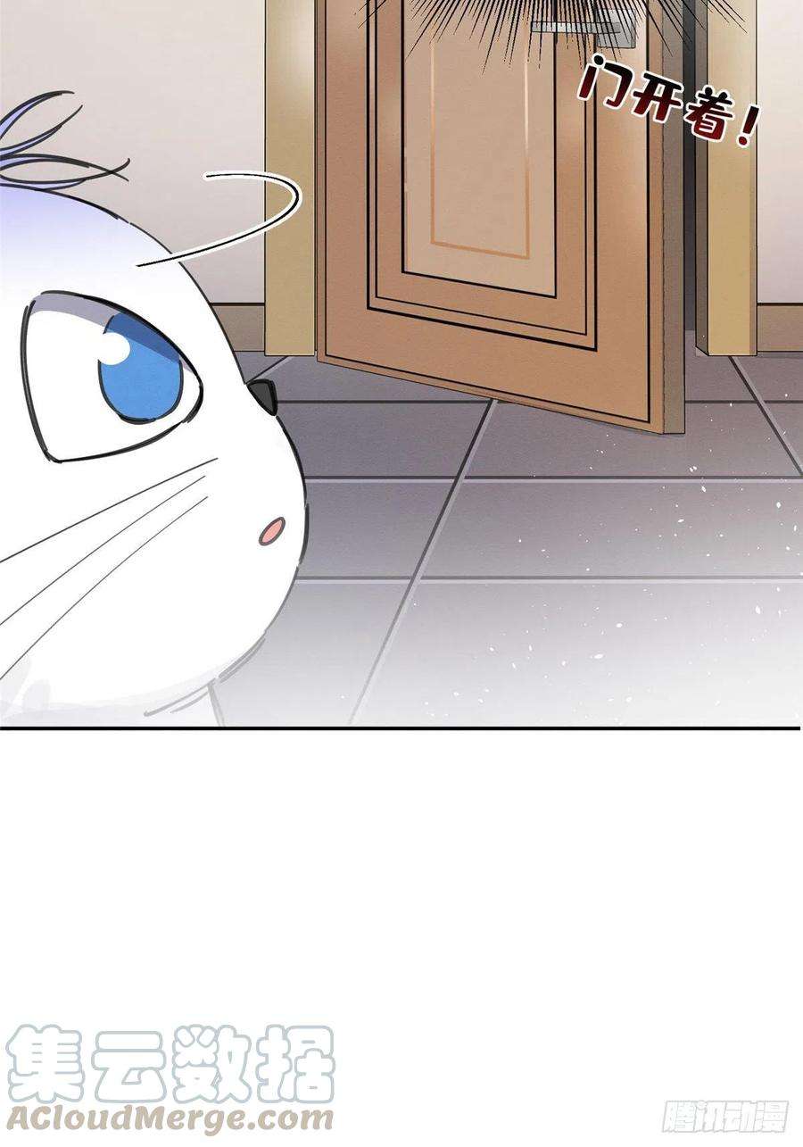 今天也要努力当只猫6话 笨蛋！