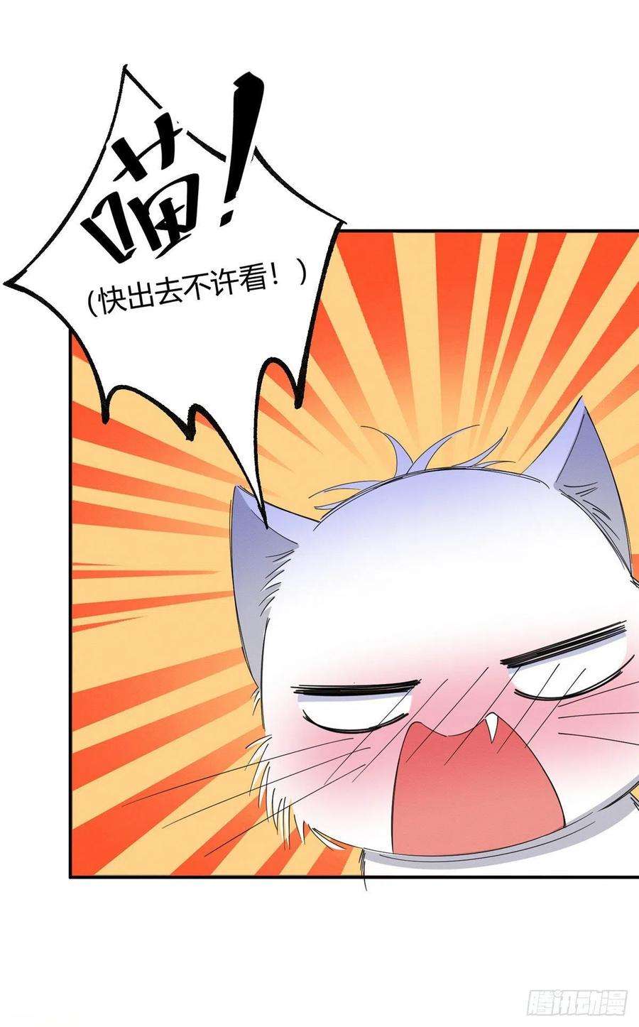 今天也要努力当只猫7话 臭小子？