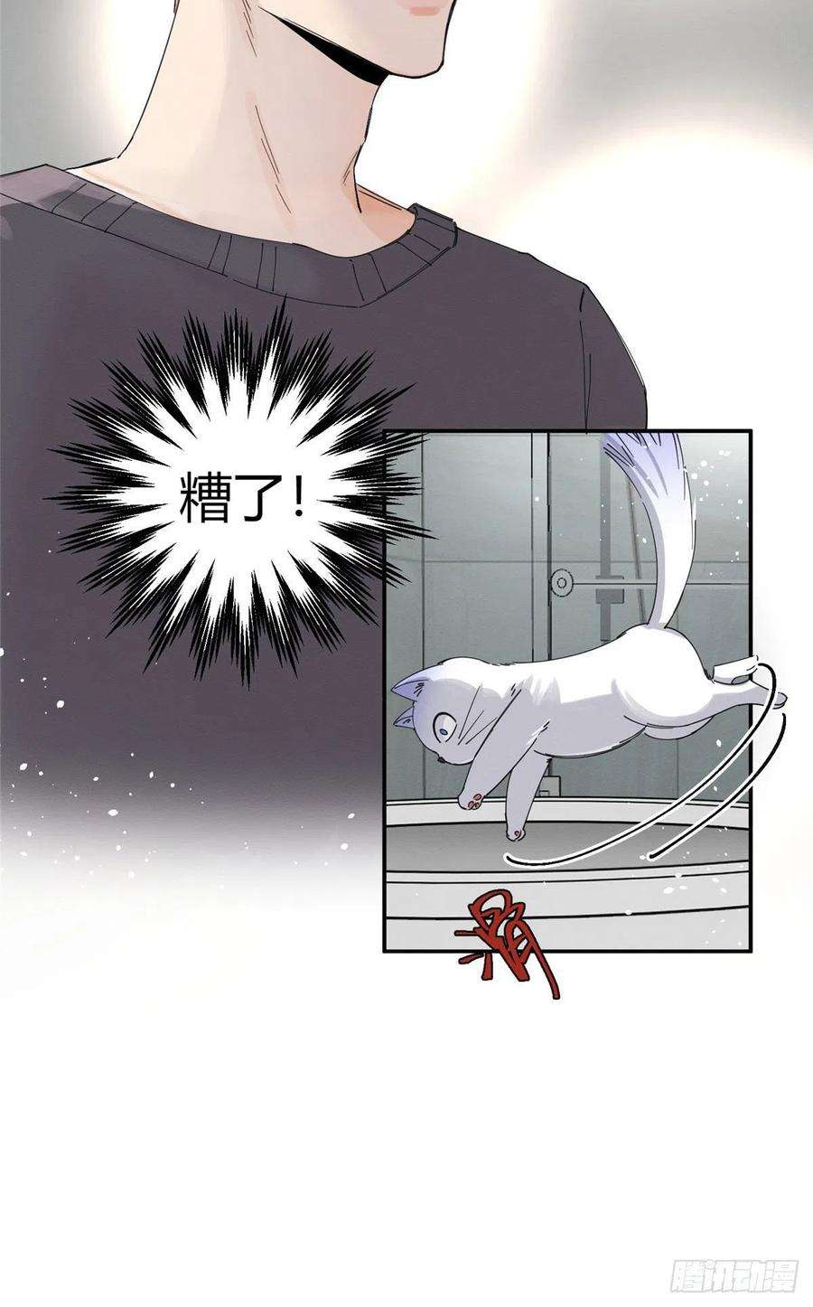 今天也要努力当只猫7话 臭小子？