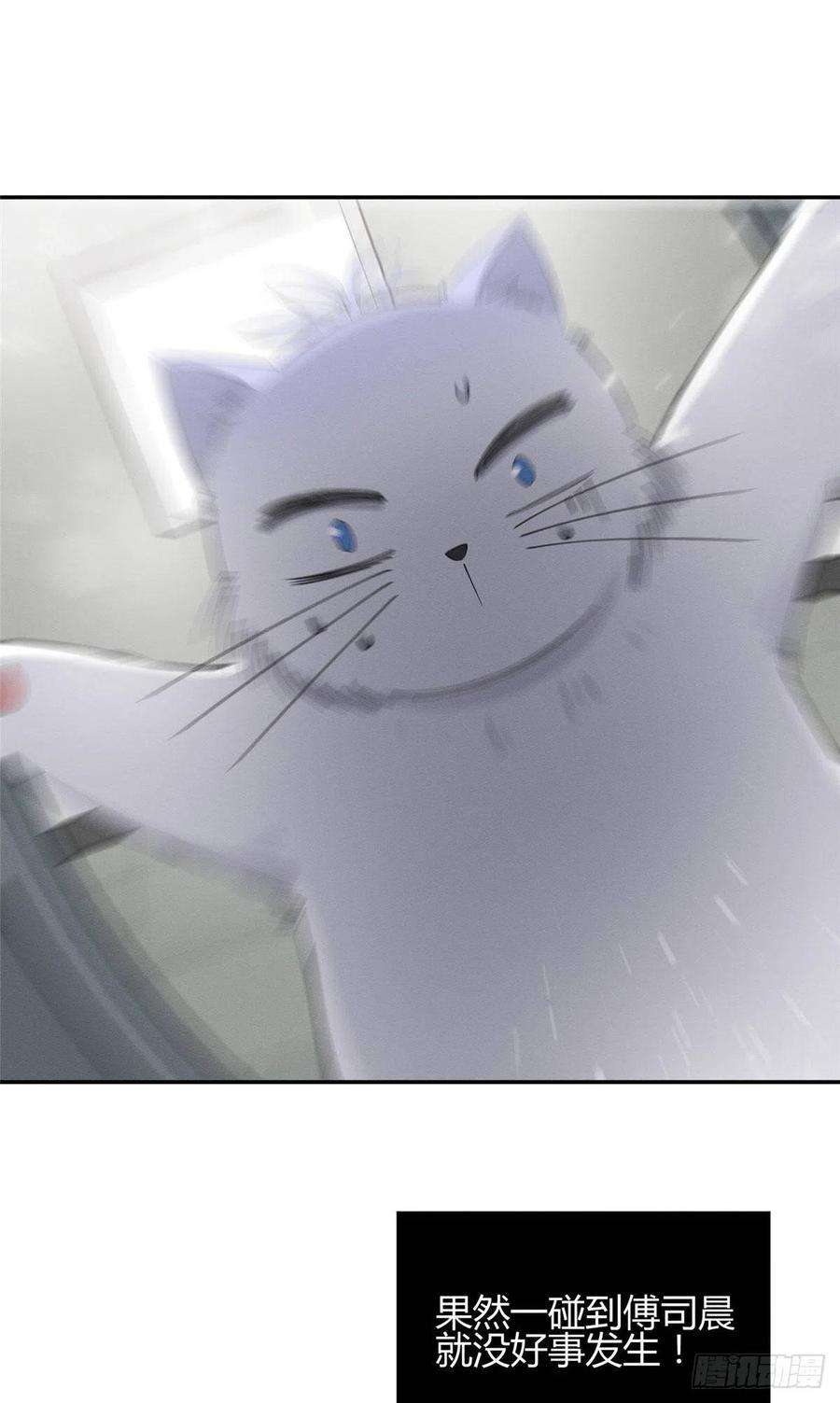 今天也要努力当只猫7话 臭小子？