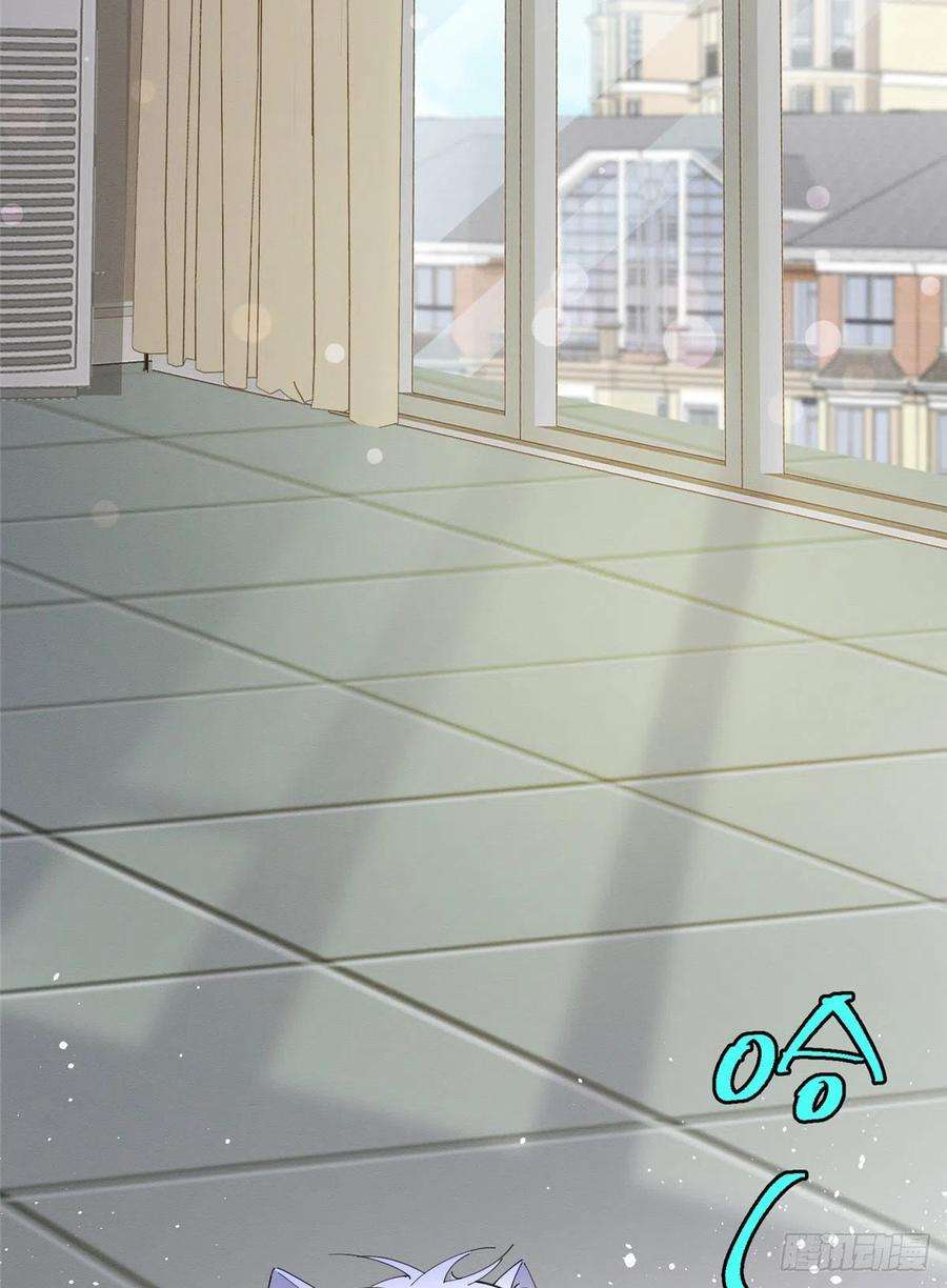 今天也要努力当只猫7话 臭小子？