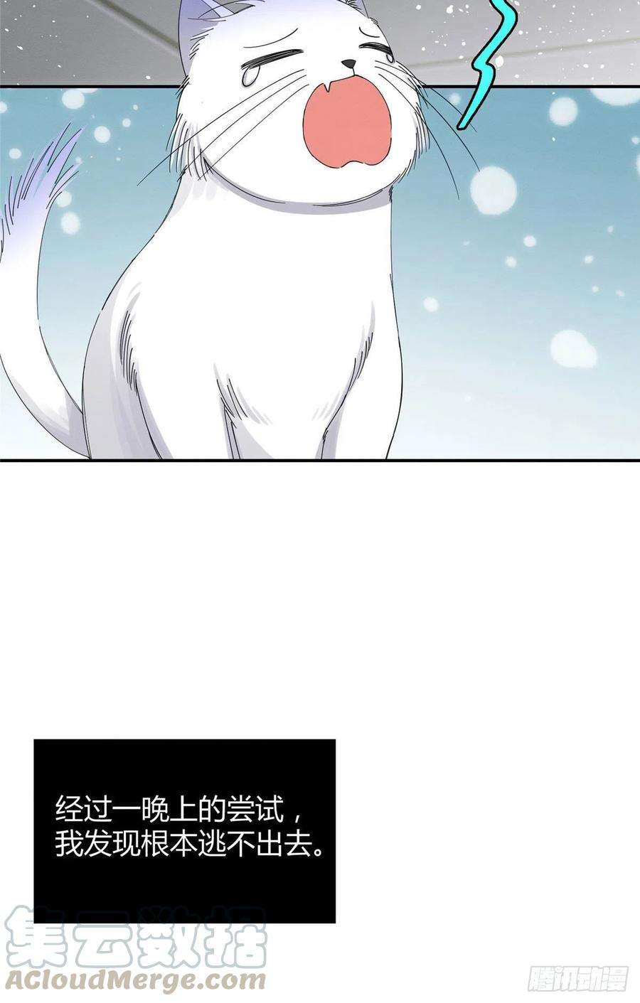 今天也要努力当只猫7话 臭小子？