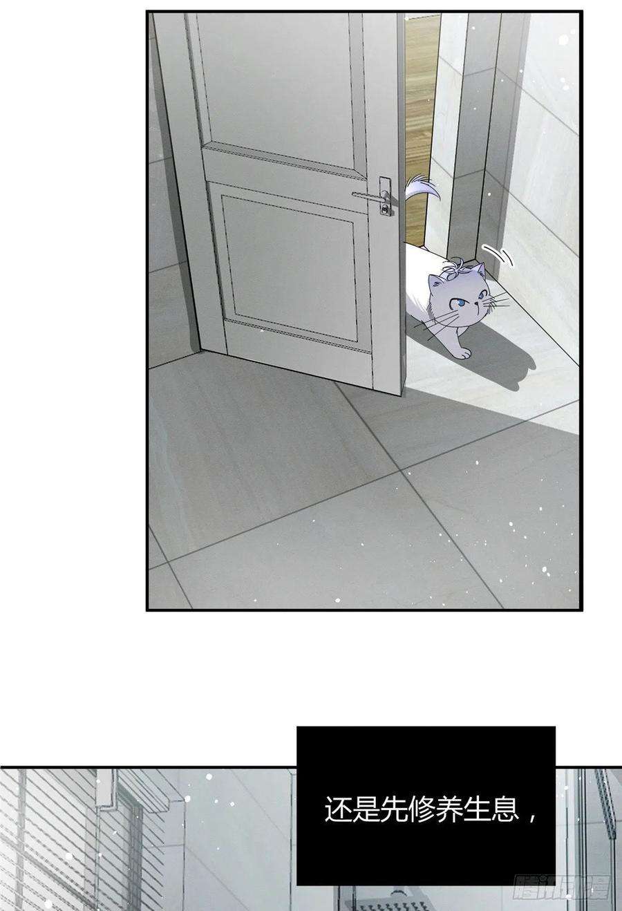 今天也要努力当只猫7话 臭小子？