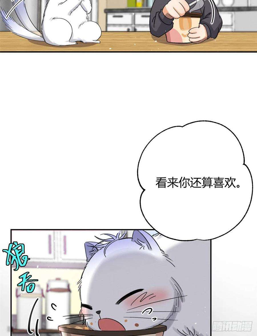 今天也要努力当只猫7话 臭小子？