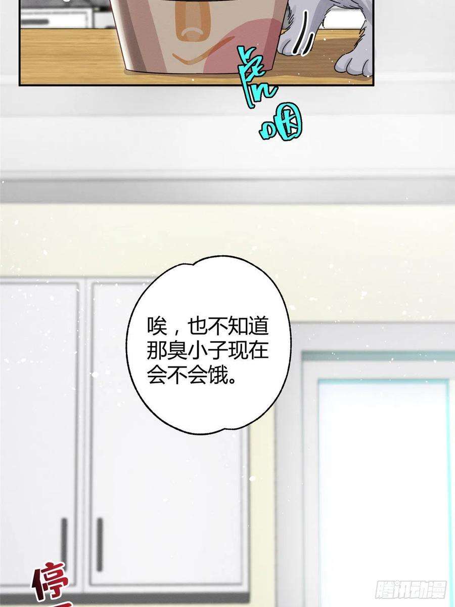 今天也要努力当只猫7话 臭小子？