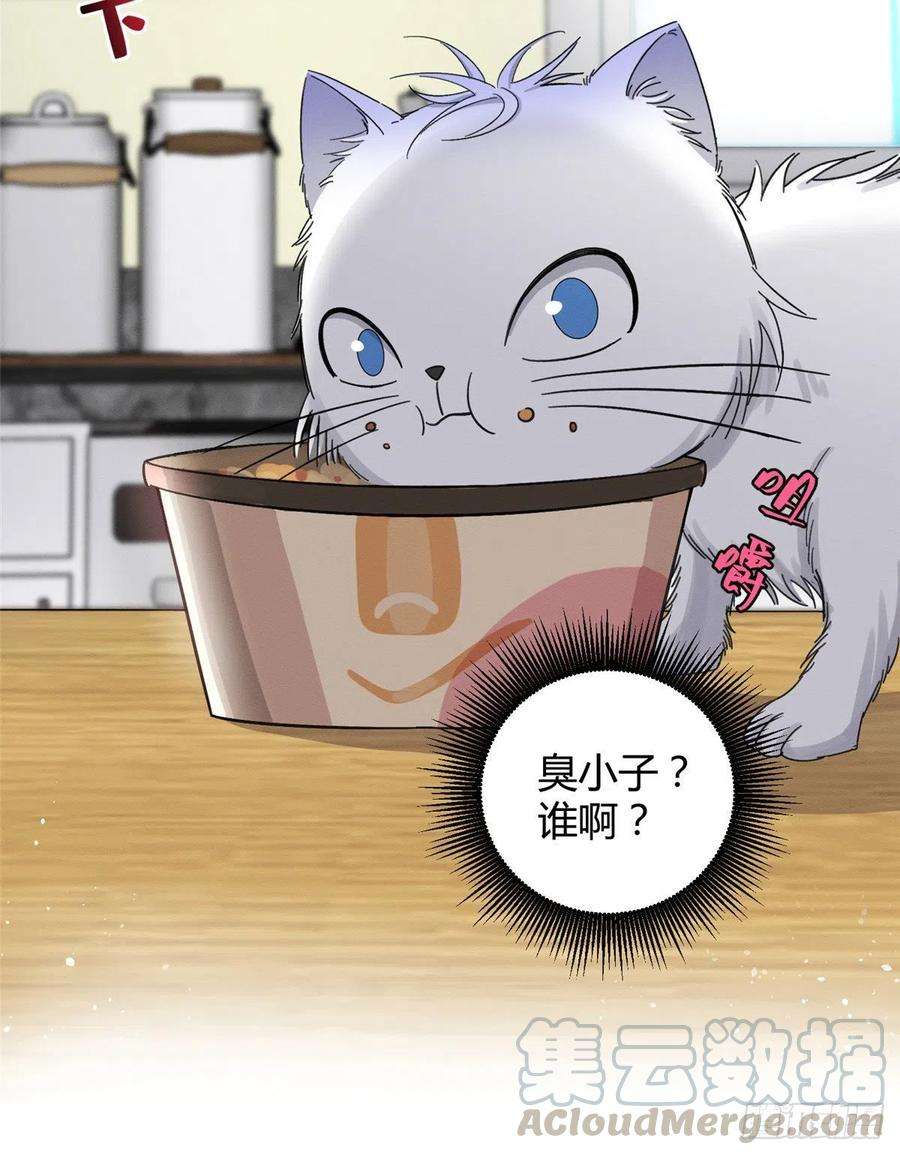 今天也要努力当只猫7话 臭小子？