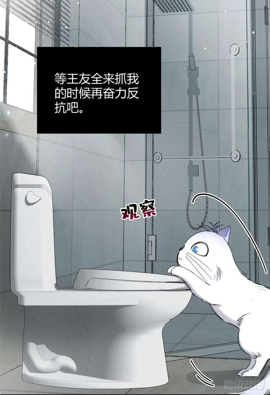 今天也要努力当只猫7话 臭小子？