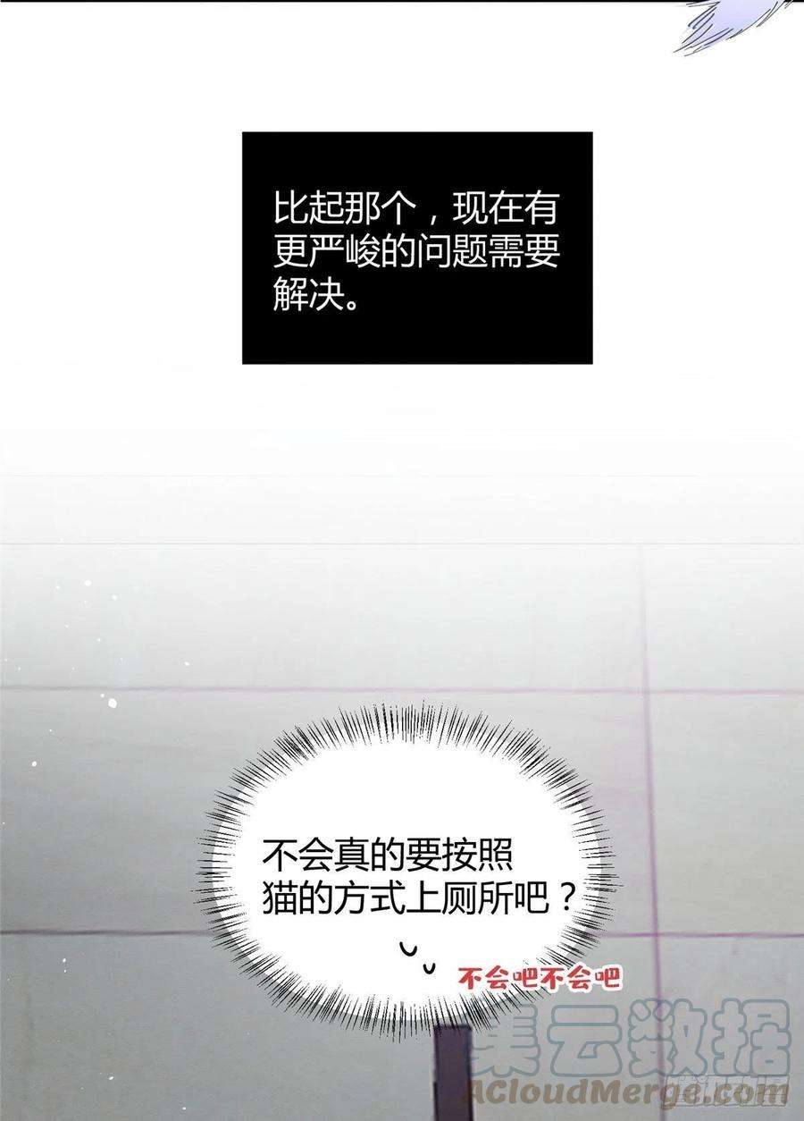 今天也要努力当只猫7话 臭小子？