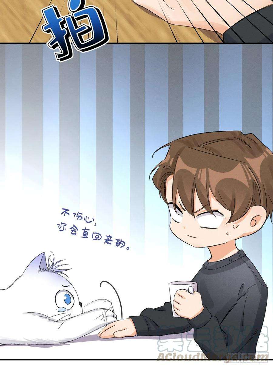 今天也要努力当只猫8话 不可以碰我！