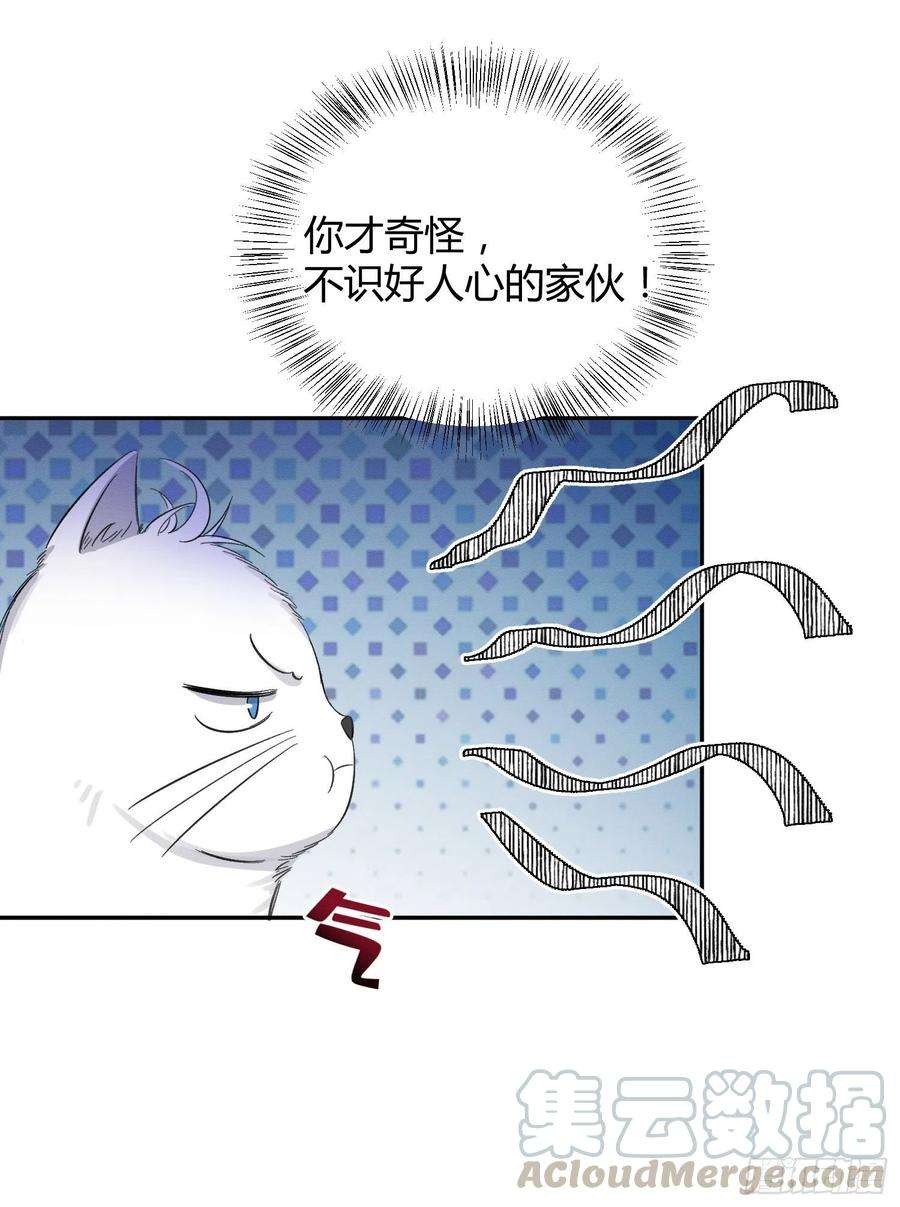 今天也要努力当只猫8话 不可以碰我！