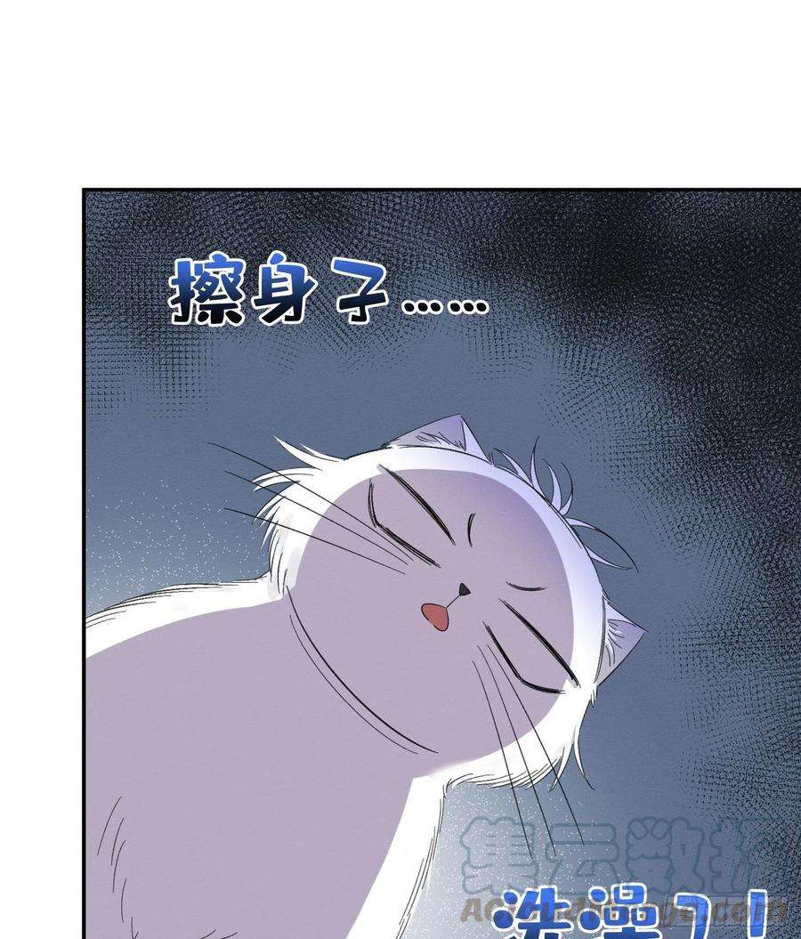 今天也要努力当只猫8话 不可以碰我！