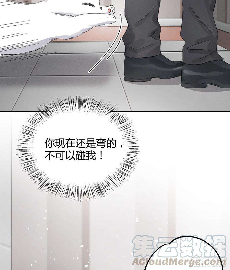 今天也要努力当只猫8话 不可以碰我！