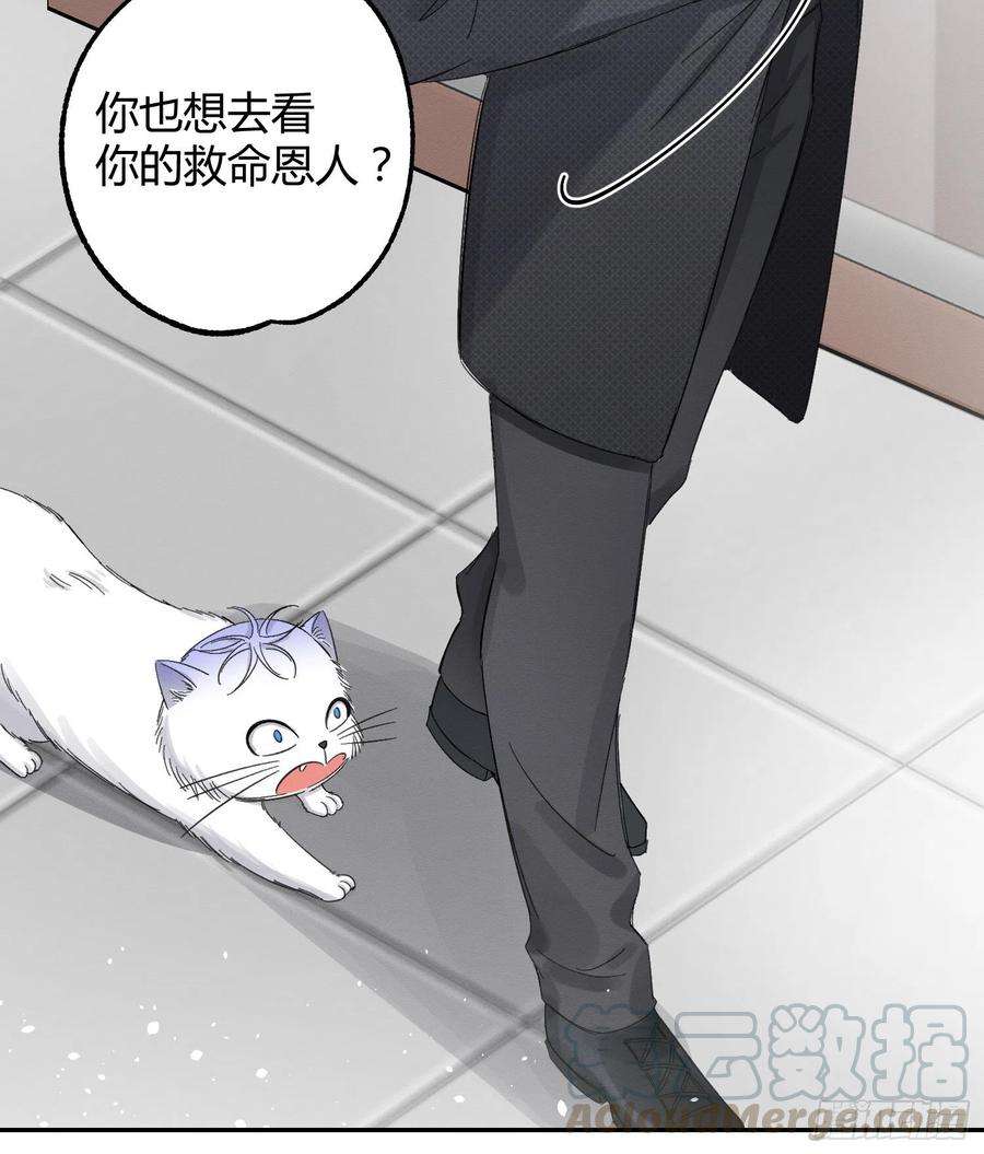 今天也要努力当只猫8话 不可以碰我！