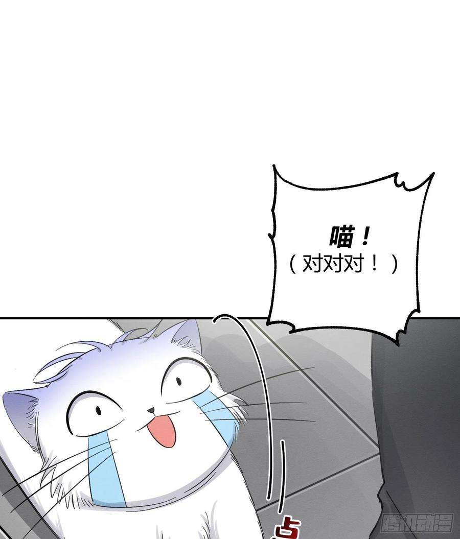 今天也要努力当只猫8话 不可以碰我！