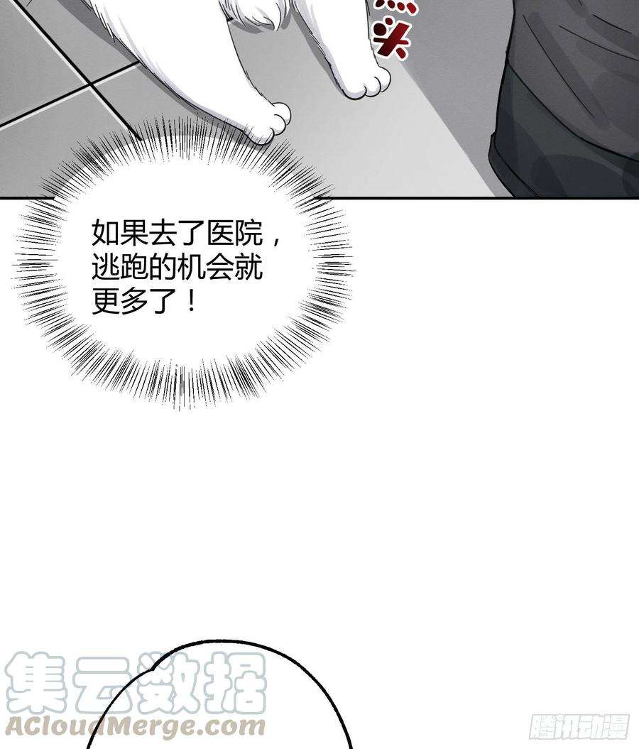 今天也要努力当只猫8话 不可以碰我！