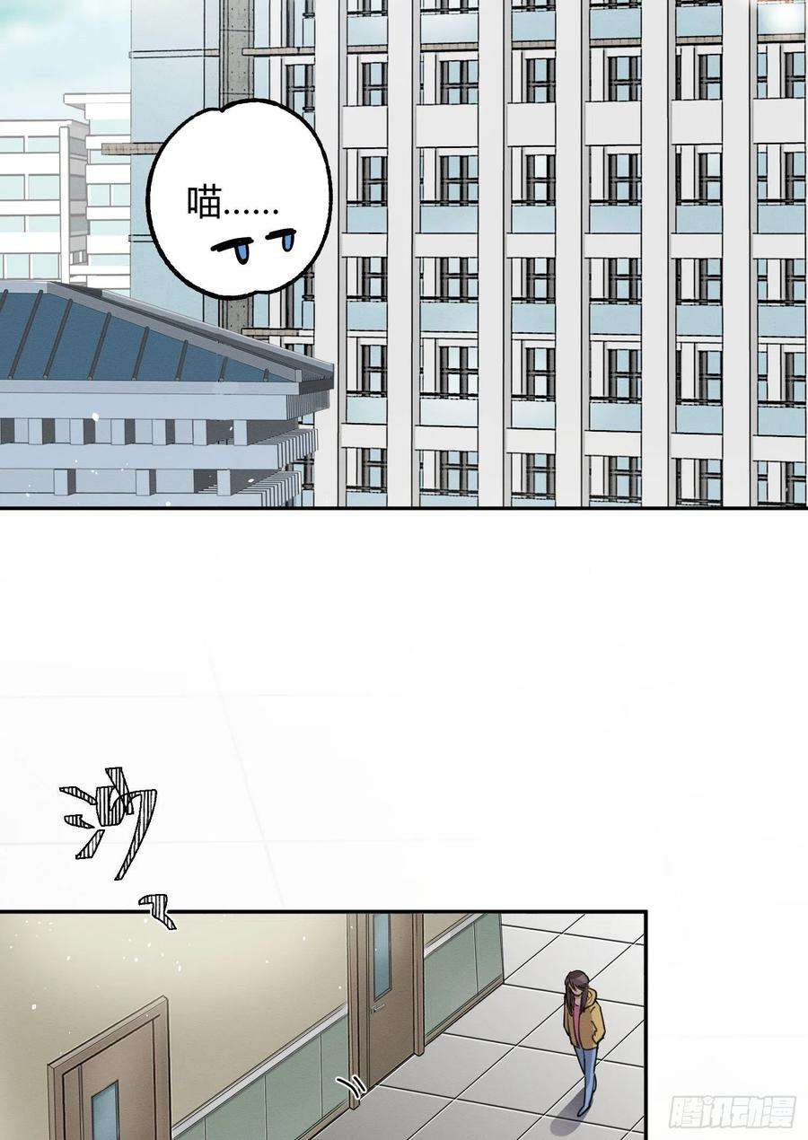 今天也要努力当只猫8话 不可以碰我！