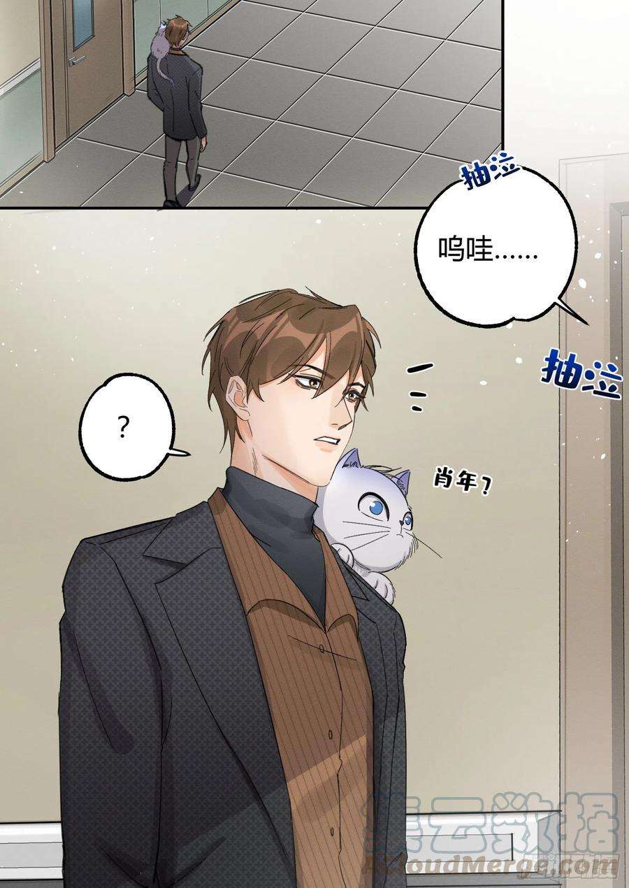 今天也要努力当只猫8话 不可以碰我！