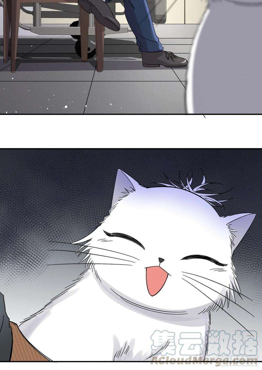 今天也要努力当只猫8话 不可以碰我！