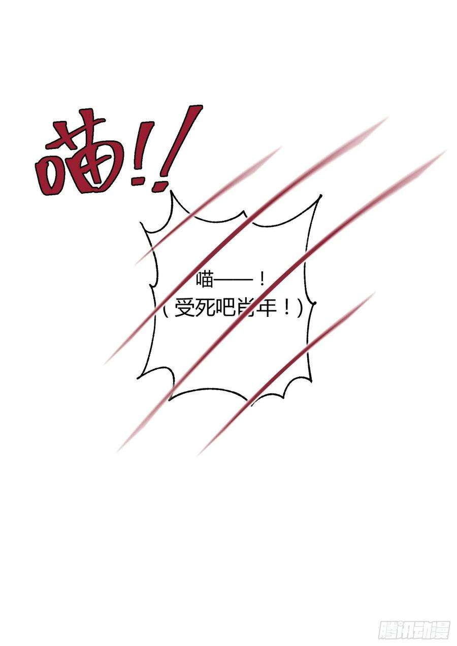 今天也要努力当只猫8话 不可以碰我！