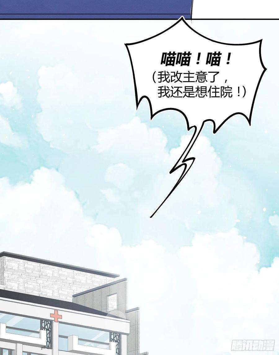 今天也要努力当只猫8话 不可以碰我！