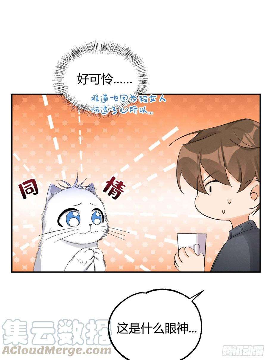 今天也要努力当只猫8话 不可以碰我！